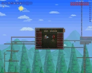 Terraria wire 2
