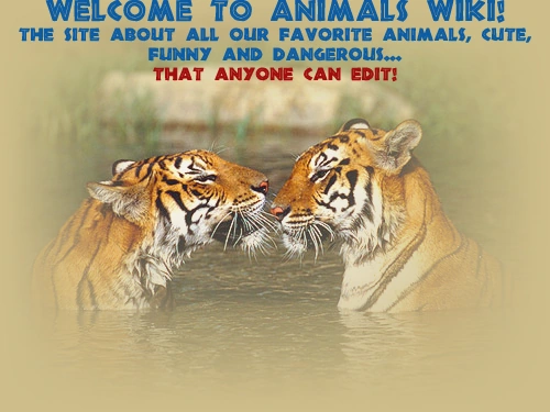 Animalspic.png
