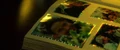 Seite Picard-Familienchronik.jpg