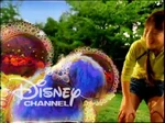 DisneyDogBath2003