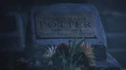 PLL117-1194