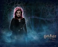 Tonks-Wallpaper-harry-potter-77007 1280 1024.jpg