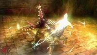 Ukon Basara Enraged