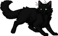 Hollyleaf.apprentice