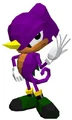 241px-Sonic the fighters.jpg