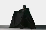 Batsbegins002