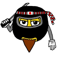Bearded-Ninja