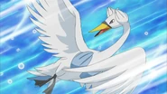 Swanna anime