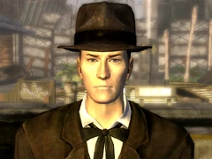 VulpesIncultaIncognito