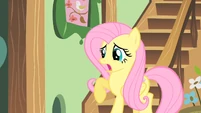Fluttershy going to the brunch S01E22