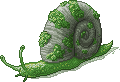 Moss Snail Adult.png