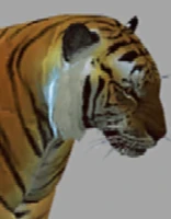 PortraitSnowflakeDR2