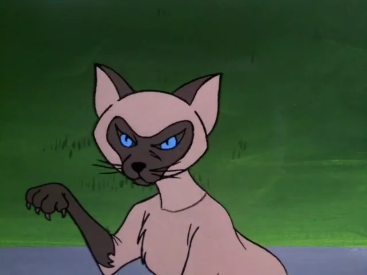 Cat man's Siamese cat - Scoobypedia, the Scooby-Doo Wiki
