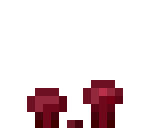 Nether Wart