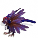 Zevia Peacock (1).png (27 KB) Zevia Peacock (1)