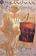 Sandman Vol 2 19