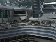 Reach 25501271 Full