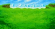 FFVA Mountain BG