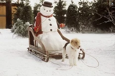 Snowman-jackfrost