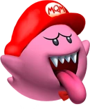 McBooNvF3D