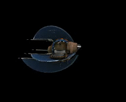 Apis3d.gif