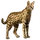 Item serval 01