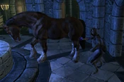 Brelyna horse