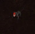 DarkmoonMonkey.jpg