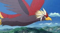 P14 Braviary 2