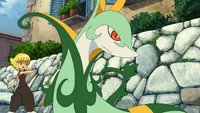 Mako Serperior
