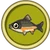 Leucisco