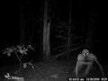 Possible photo of the rake.jpg