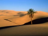 Desert region