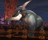 Jumbo