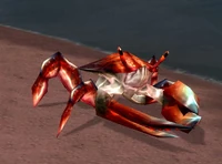 DarkmoonTideCrawler