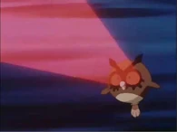 EP123 Profecía de Hoothoot
