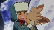 P14 Lillipup