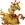 Zagnoid