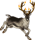 Calidaes Reindeer Adult Male.gif