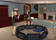AL Gallery 2