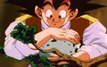 GokuGetsPteroEgg