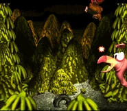 MasterNeckyjumpon