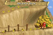 NeckyNutsAdvance