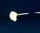 Intercept