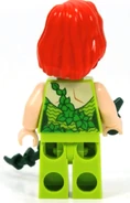 Poison ivy back