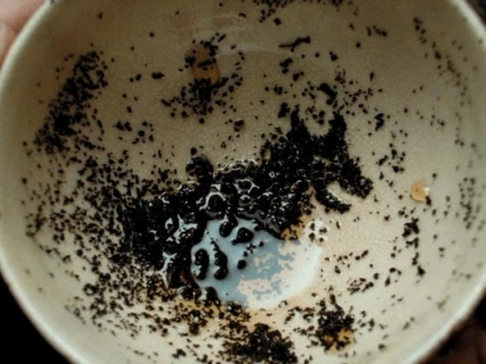 [Obrazek: Ponurak_w_fili%C5%BCance.jpg]