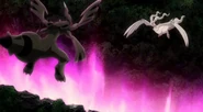 P14 Zekrom y Reshiram ven la energía corrupta