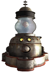 Couriers brain