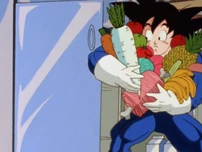 GR8-DBZK-04