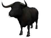 Superbull